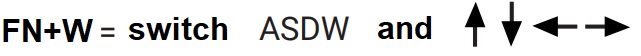 PL3350_Switch_asdw_and_arrow_keys_UK.jpg